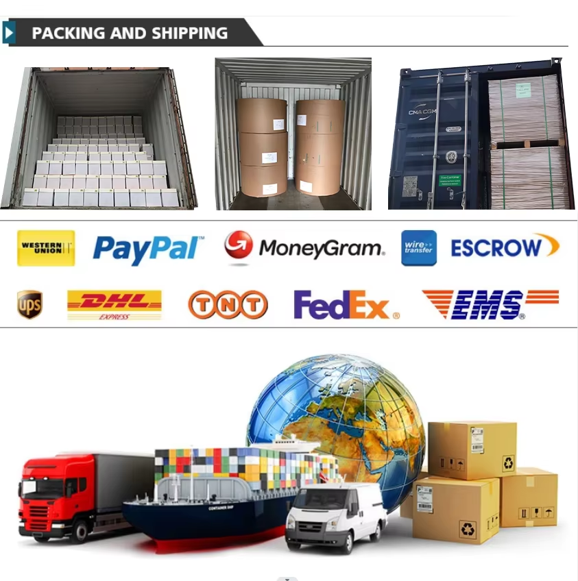 packing and shippment